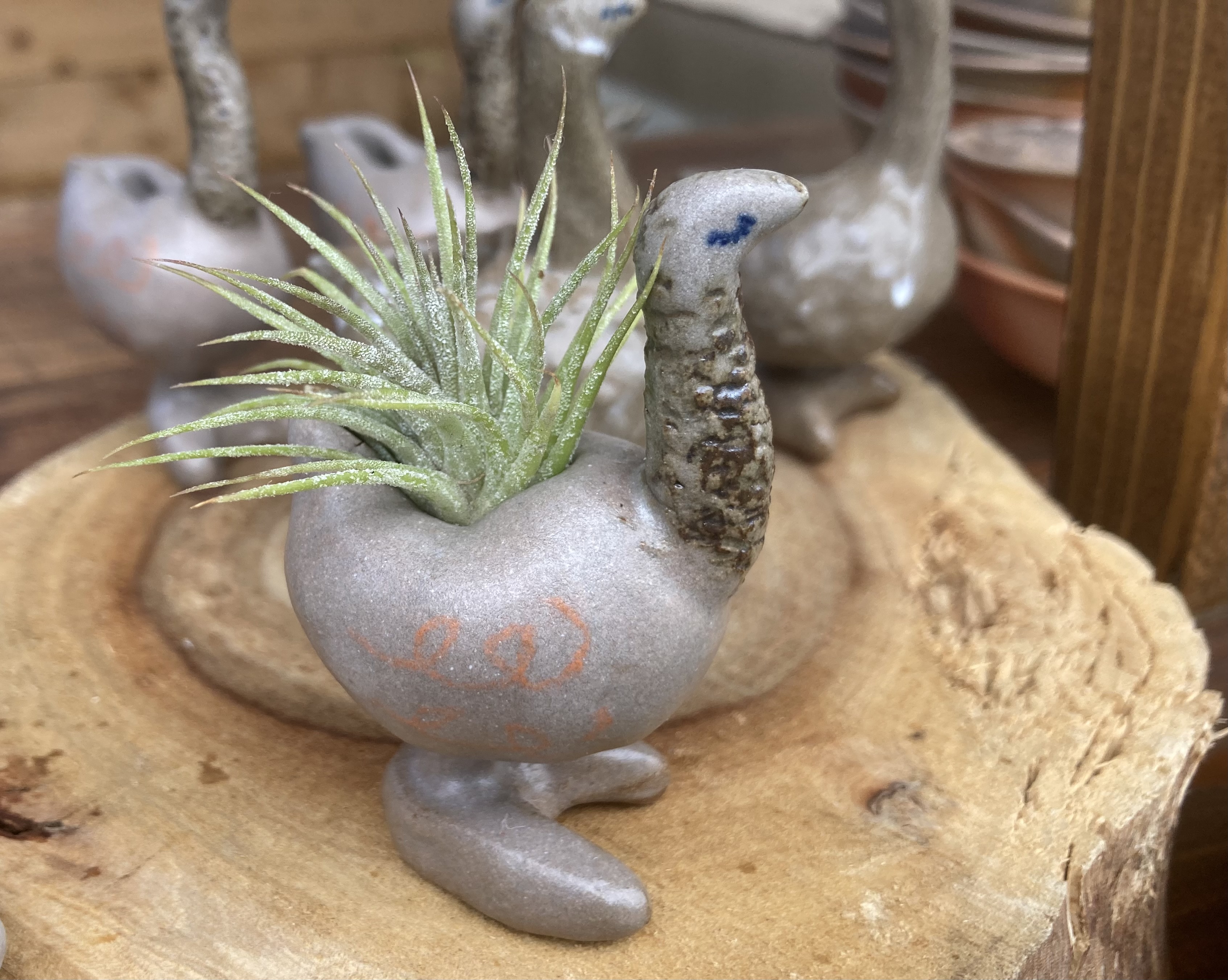 篠原明日香　寺本愛彩（ASAMO）